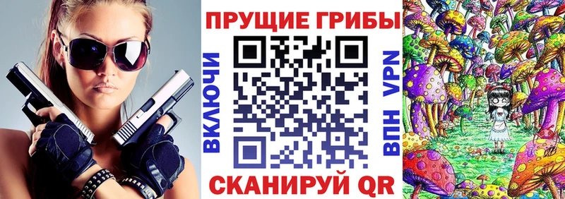 блэк спрут как войти  Кочубеевское  Псилоцибиновые грибы Cubensis 